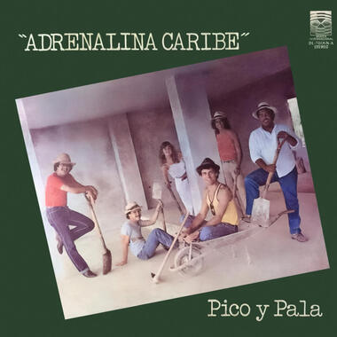Carátula del disco Pico y pala de 