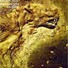 Carátula de Infecto de afecto