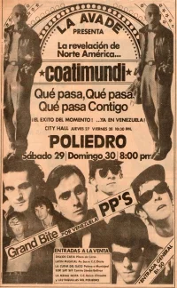 Imagen de Coati Mundi